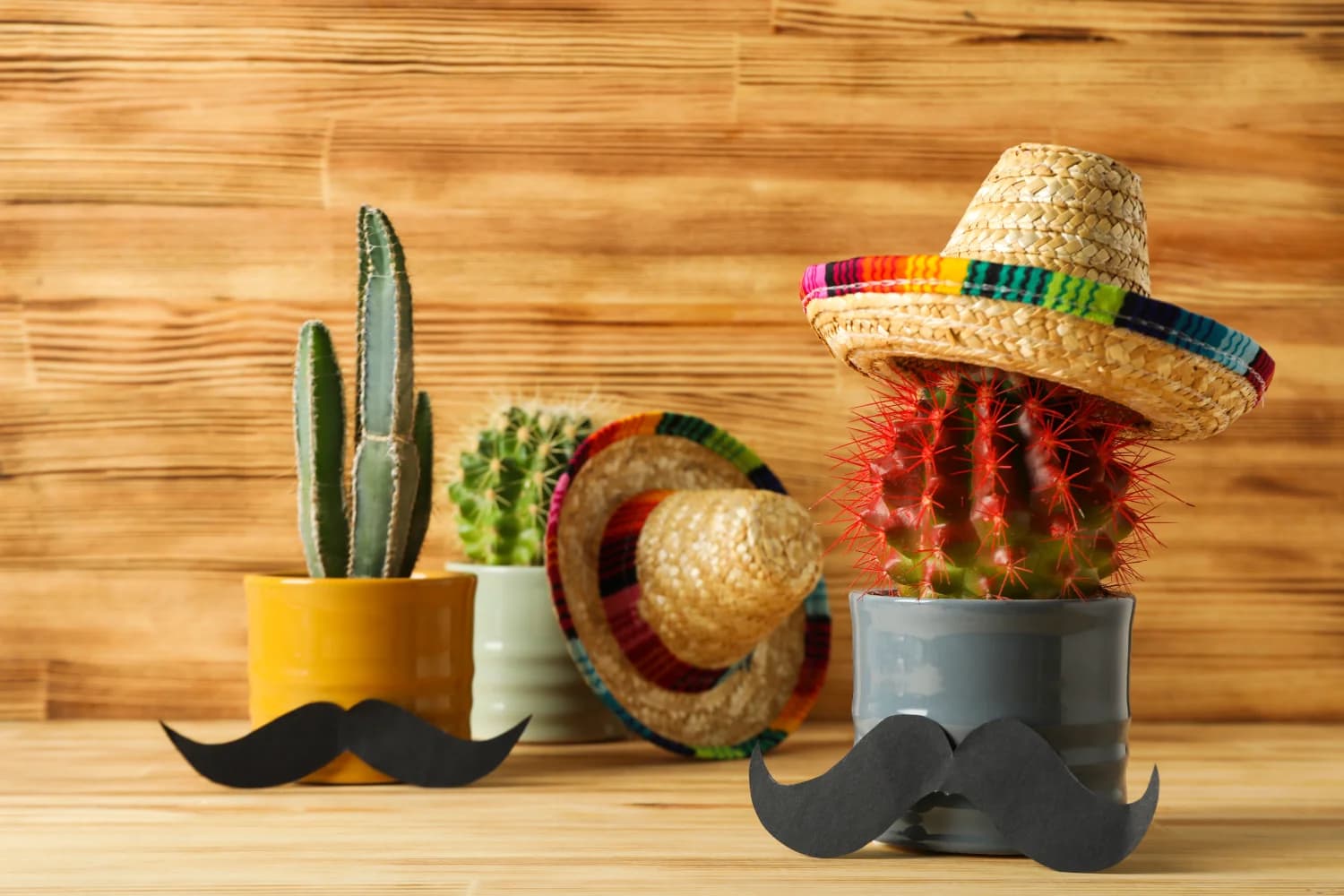 https://cf.digitalpotter.io/tenants/6a0770c0802690ed02b35af6/plitz/cff6edfaa903 fathers day mexican style with taqueria maria bonita 1